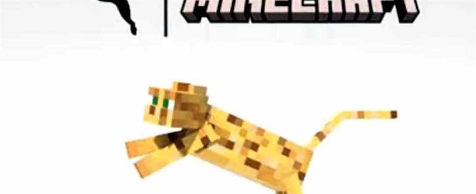 Minecraft obtient une collaboration avec Puma pour une raison quelconque