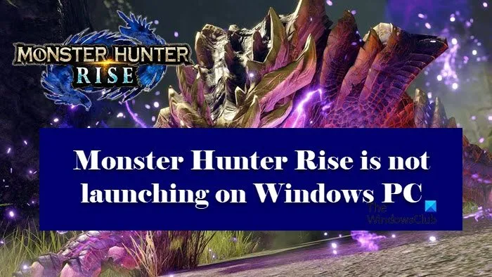Monster Hunter Rise ne se lance pas