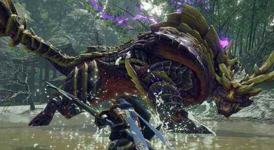 Monster Hunter Rise propose des filtres intéressants sur PC