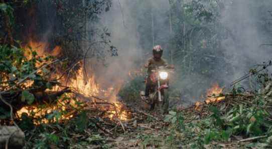 National Geographic achète le docu-thriller environnemental "The Territory" après la première du festival du film de Sundance