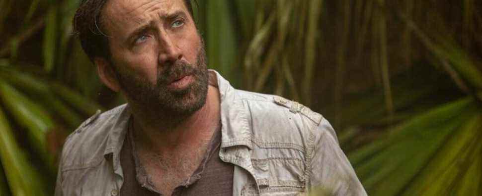 Nicolas Cage subit des insultes irrespectueuses de la part de son corbeau