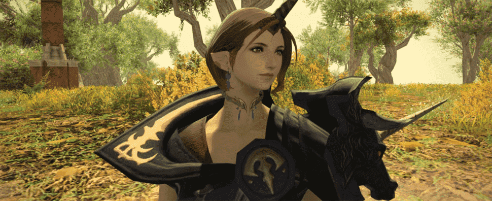 Square Enix recommencera à vendre Final Fantasy XIV ce mois-ci