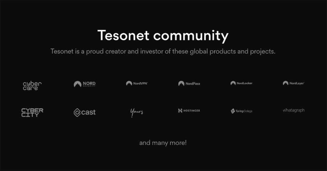 tesonet-homepage.png