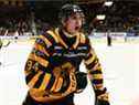 L'espoir des Canucks de Vancouver Linus Karlsson dans la Ligue suédoise de hockey cette saison pour Skelleftea AIK.