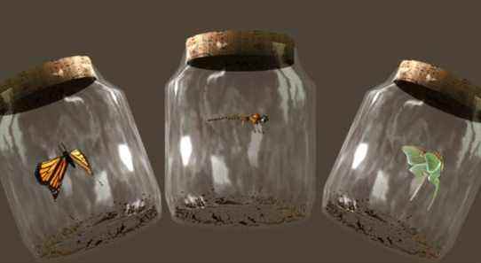 Skyrim: où trouver chaque insecte dans un bocal