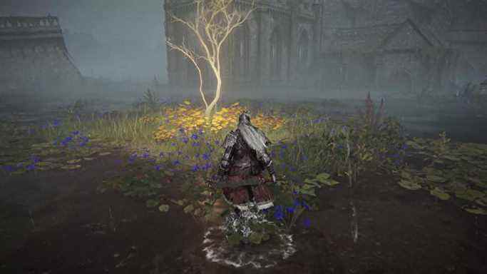 Une capture d'écran d'Elden Ring qui montre le joueur s'approche d'un arbre doré.