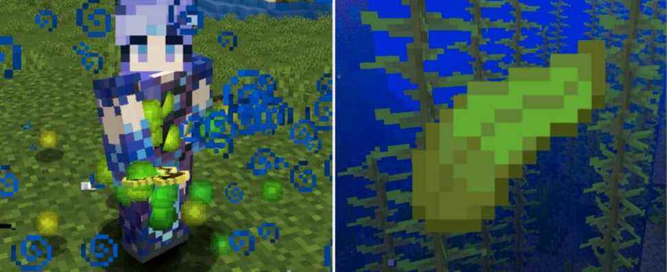 Minecraft: Comment faire de la ferme Kelp XP (1.18)