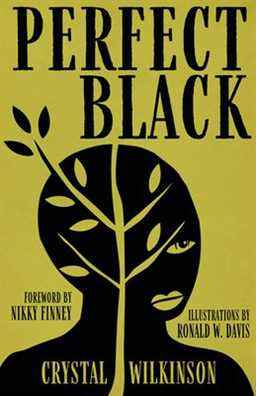 Un graphique de la couverture de Perfect Black par Crystal Wilkinson
