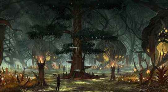 The Elder Scrolls: les joueurs de Lore devraient connaître Valenwood