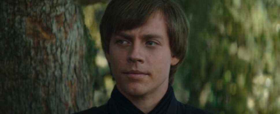 L'acteur de Luke Skywalker (pas celui-là) a adoré son expérience du livre de Boba Fett