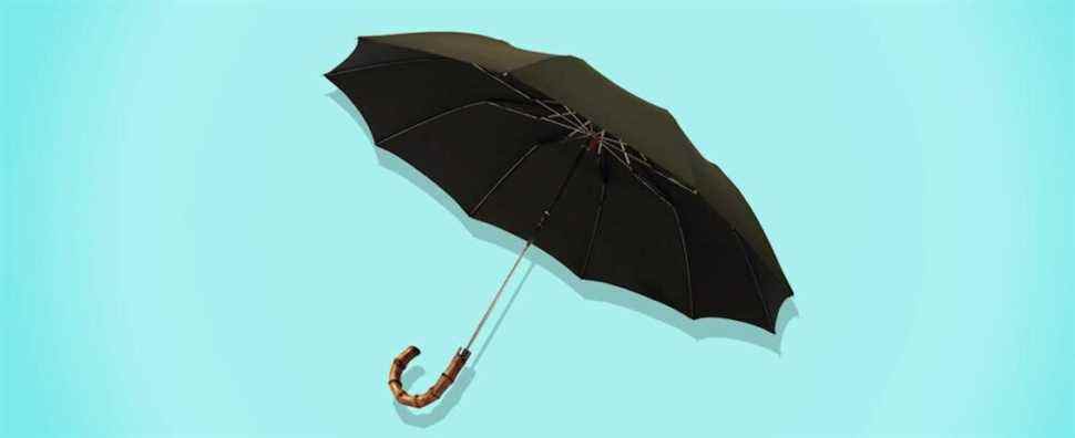 Ce parapluie remarquablement beau se replie aux proportions de Mary Poppins