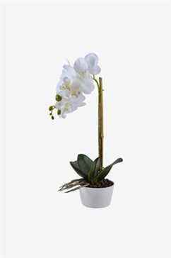Orchidée artificielle en pot blanc