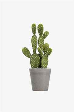 Cactus Artificiel Clas Ohlson 