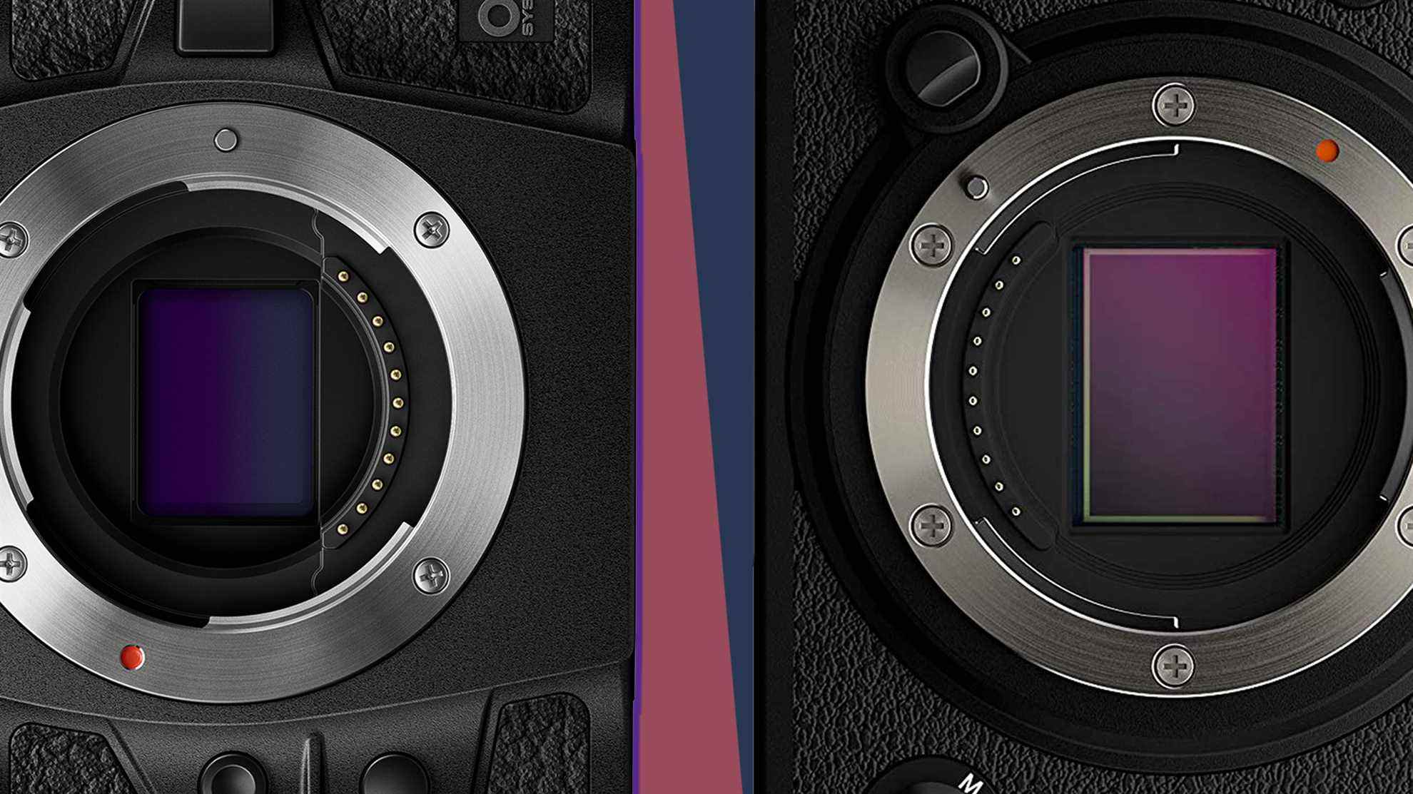 Le capteur d'appareil photo OM System OM-1 comparé au Fujifilm X-T4