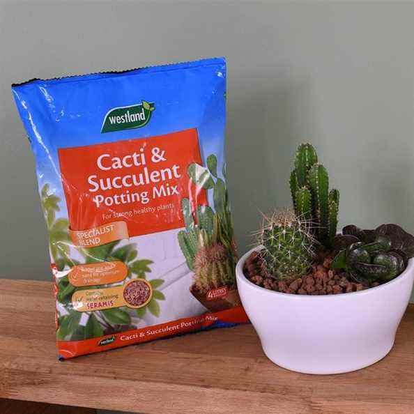 Westland Cacti/Succulent Potting Compost Mix and Enriched with Seramis, 4 litres, Marron