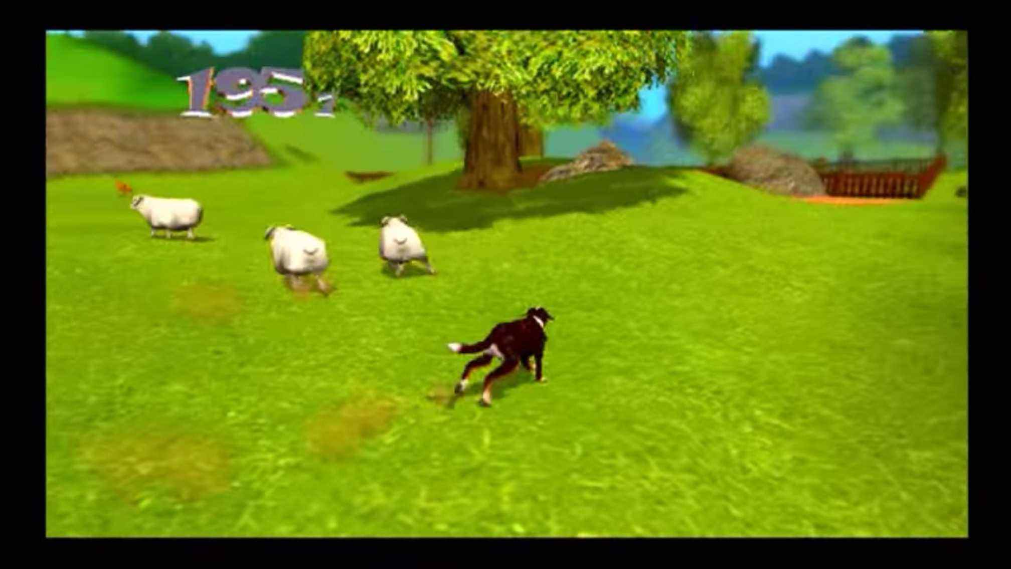 Moutons de la vie de chien