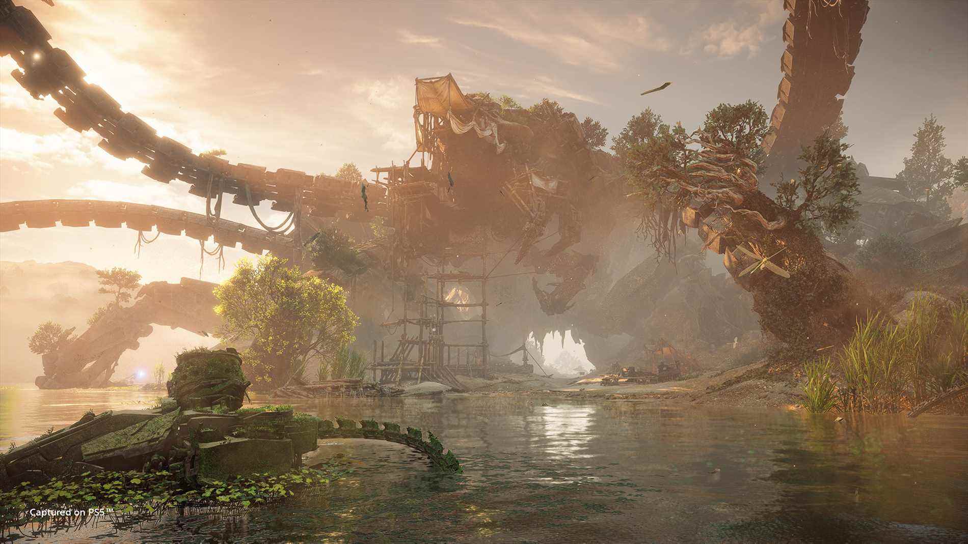 Captures d'écran d'Horizon Forbidden West fonctionnant sur PS5