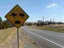 Un panneau routier avertissant les automobilistes des kangourous, des koalas et des wombats se dresse le long d'une route menant à la centrale électrique d'AGL Energy Ltd. Loy Yang dans la vallée de Latrobe, en Australie.