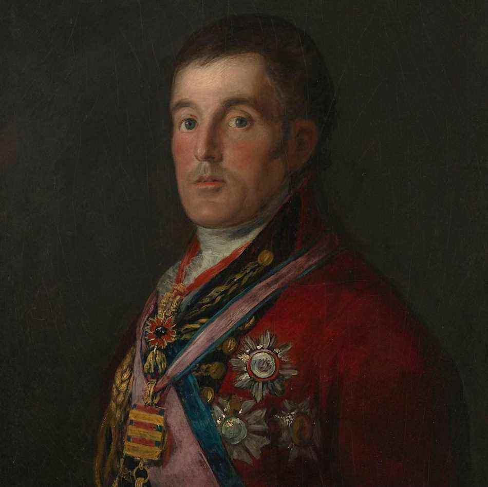 Francisco Goya's portrait du duc de Wellington - PA