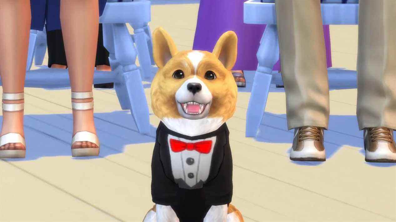 Meilleurs jeux de chiens - Sims 4 Chiens et Chats