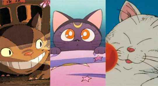 9 meilleurs chats d'anime, classés