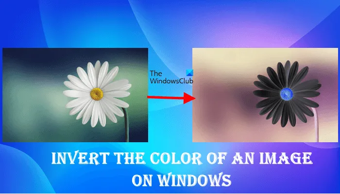 Inverser la couleur de l'image sous Windows