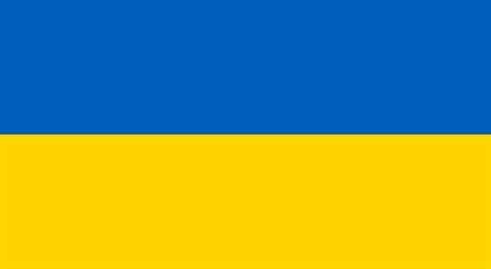 Ukraine flag game developers support