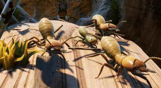Grounded Update ajoute des termites et plus encore