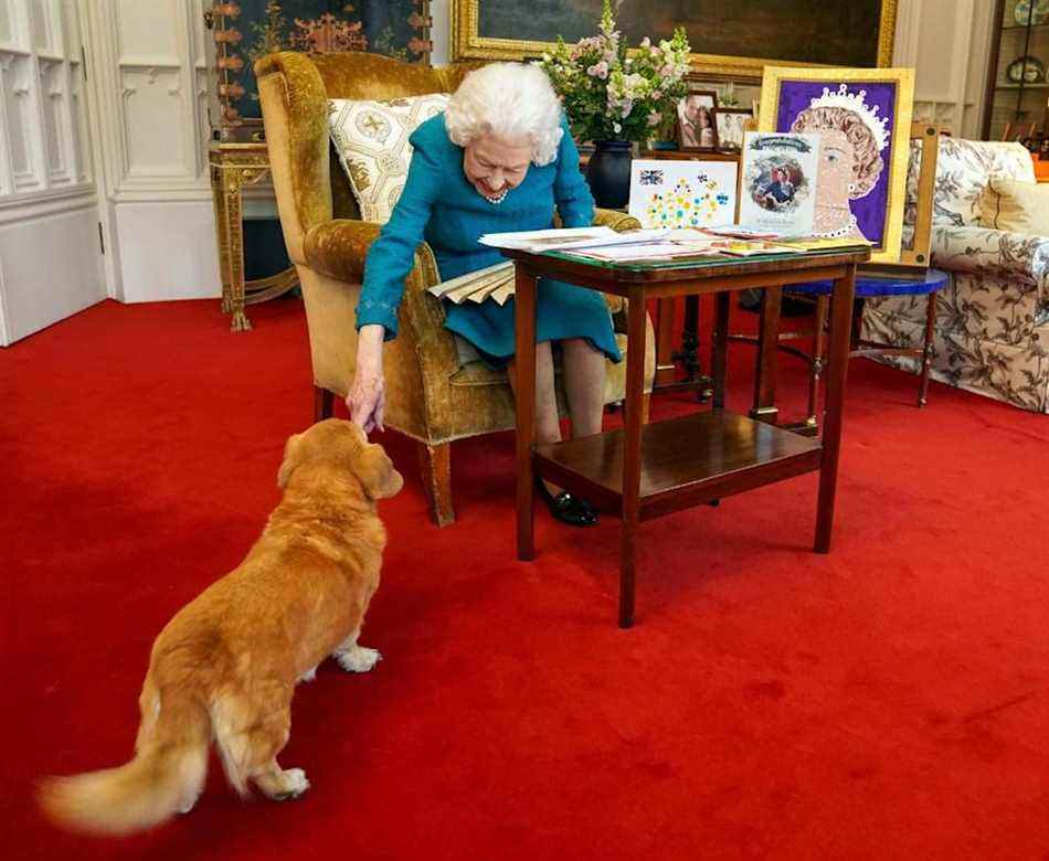 La reine caresse l'animal de compagnie dorgi Candy (Steve Parsons/PA)