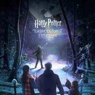 Harry Potter : Une expérience dans la forêt interdite