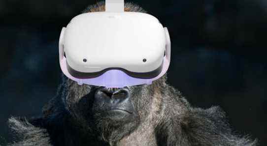 Le bras de gorille est une blessure VR dont les utilisateurs d'Oculus Quest 2 doivent se méfier