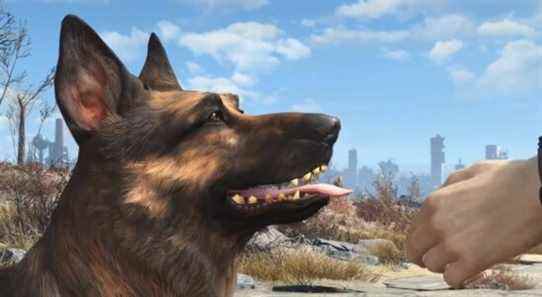 Le chien qui jouait Dogmeat dans Fallout 4 est mort
