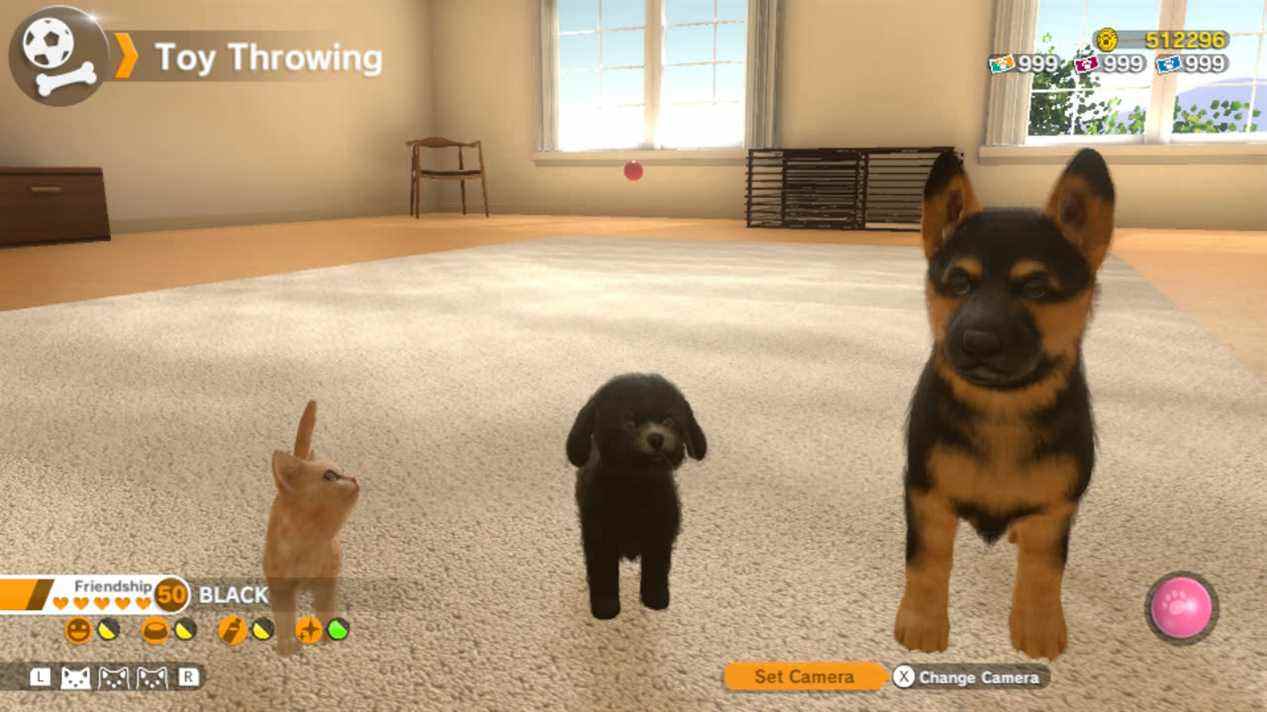 Meilleurs jeux pour chiens - Little Friends: Dogs & Cats