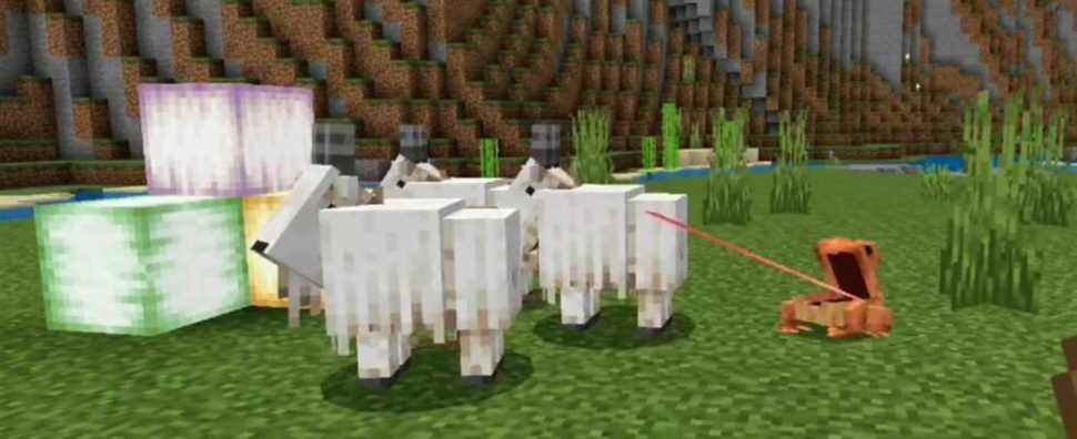 Les nouvelles grenouilles de Minecraft avalent brièvement des chèvres entières