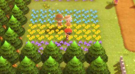 L'image montre comment Floara Garden dans Pokemon Legends: Arceus se compare à Floaroma Town de Diamond and Pearl