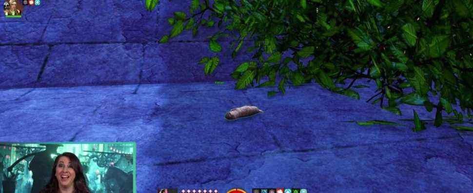 Un joueur de Guild Wars 2 habille son personnage en développeur "Kitten Killer"