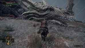 tuer le dragon de Fort Faroth