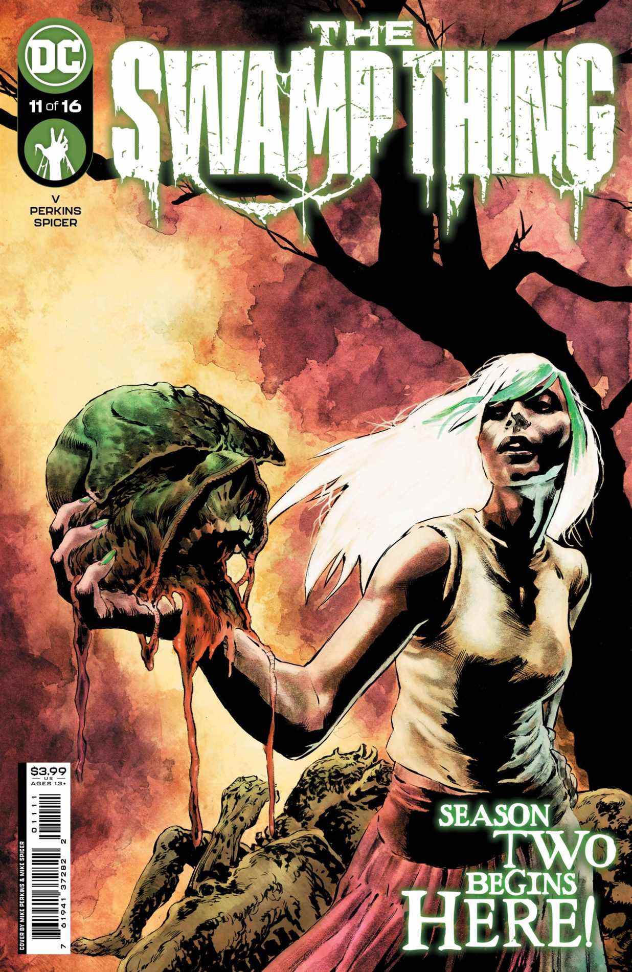 Couverture de The Swamp Thing #11