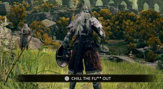 elden ring screenshot from limgrave with a message that says Chill The Fuck Out