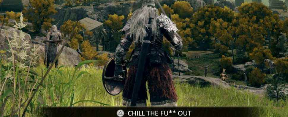 elden ring screenshot from limgrave with a message that says Chill The Fuck Out