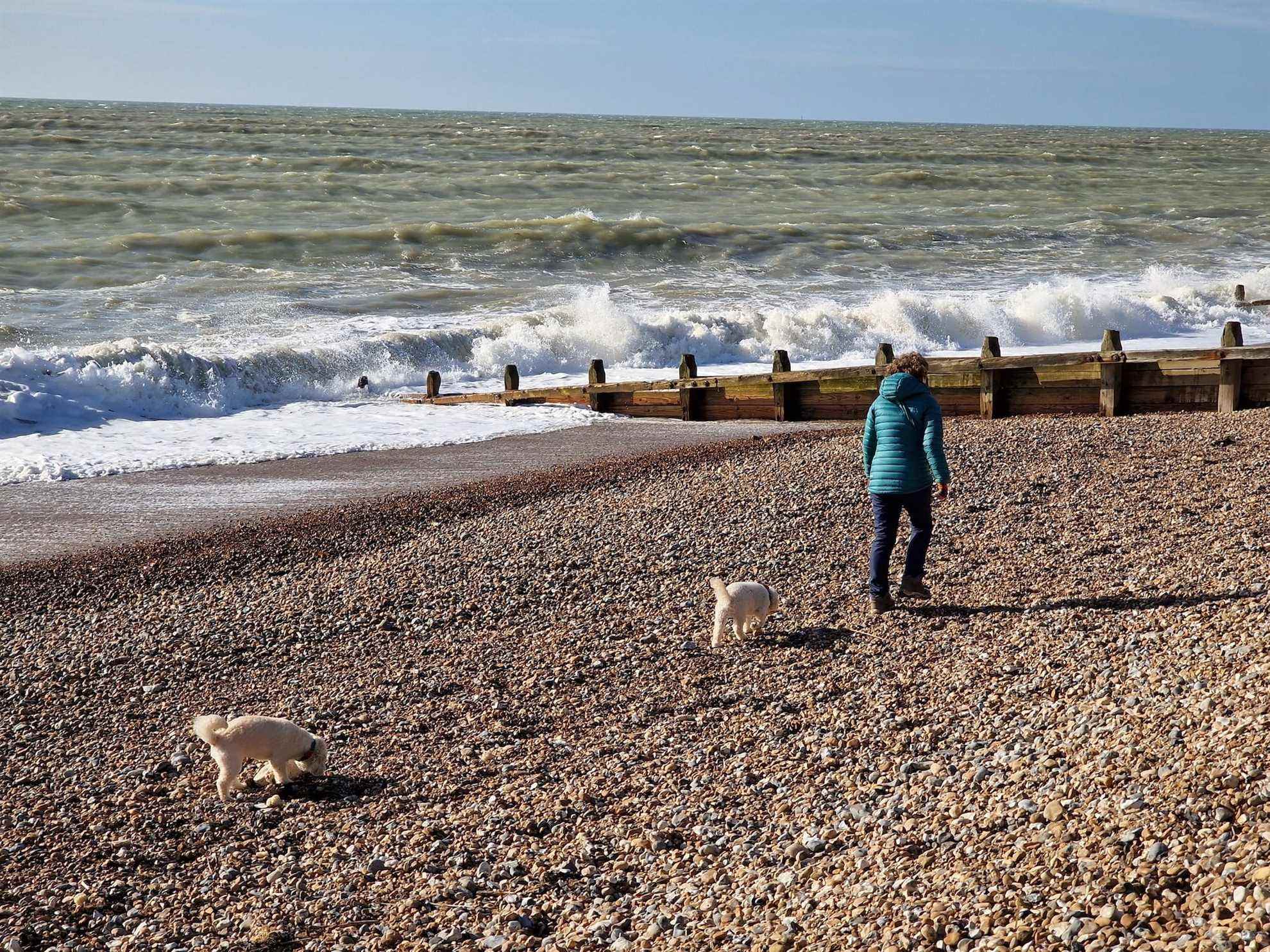 Une personne et deux chiens marchent sur la plage.