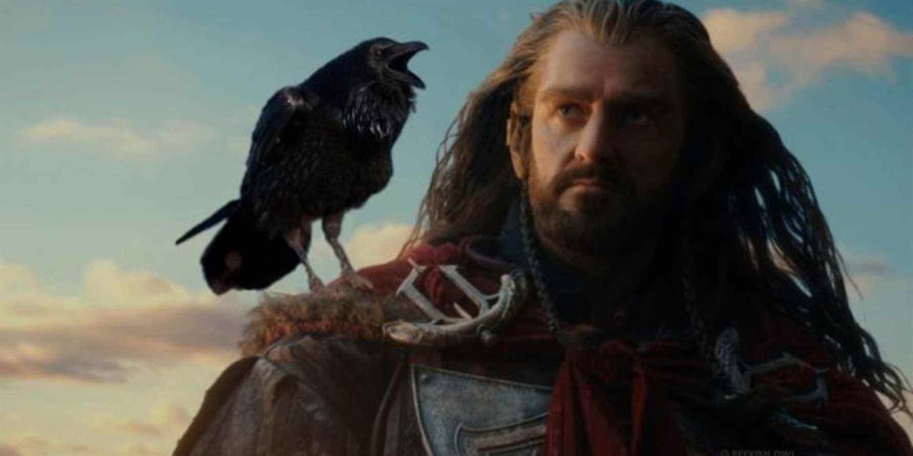 Thorin et le corbeau