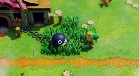 Link encountering a Chain Chomp in Link's Awakening