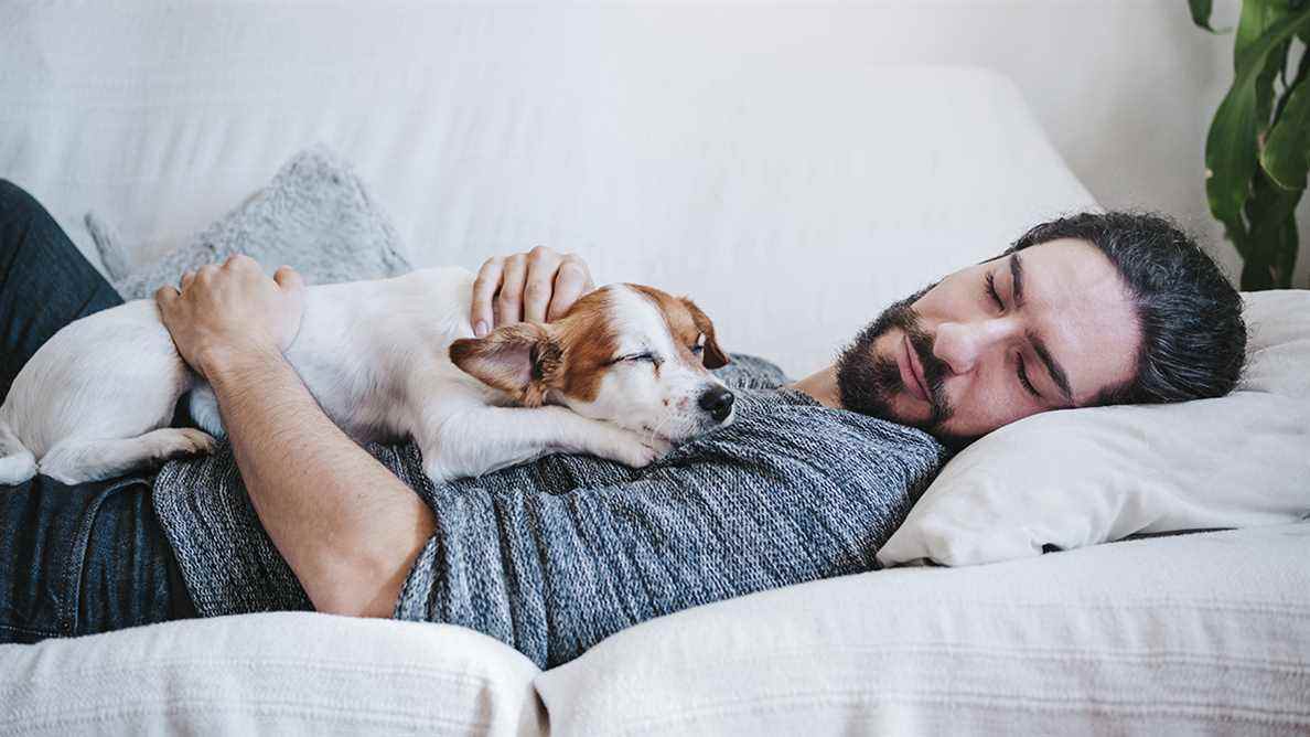 Homme et chien faisant la sieste sur le canapé