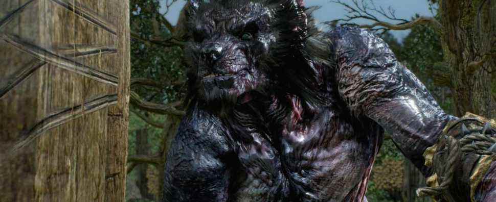 The Witcher 3 wild hunt werewolf closeup