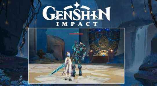 genshin-impact-leaks-black-serpent-knight-chasm-1