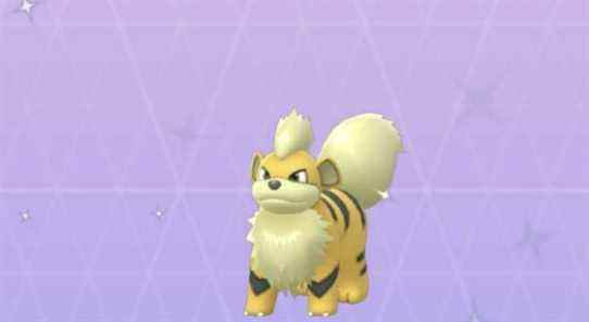 Heure des projecteurs sur Pokémon Go : Growlithe est-il brillant ?