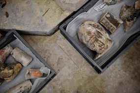 Une photo montre des objets antiques trouvés par des archéologues dans le sol de la cathédrale Notre-Dame après la découverte d'un sarcophage en plomb du XIVe siècle, à Paris, le 15 mars 2022.