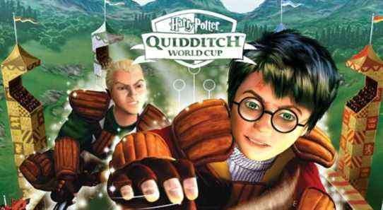Harry Potter quidditch world cup
