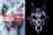 Comparer la taquinerie de Witcher 4 au médaillon décomposé de Vesemir.  Crédit : CD Projekt Red/Netflix